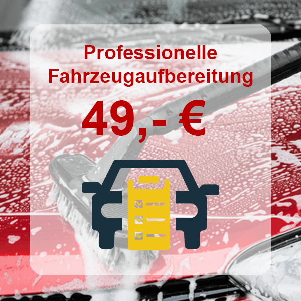 fahrzeugaufbereitung_49_bunt